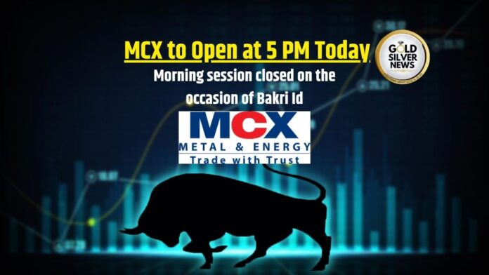 MCX Holiday Today