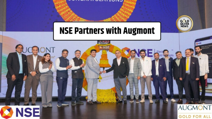 NSE