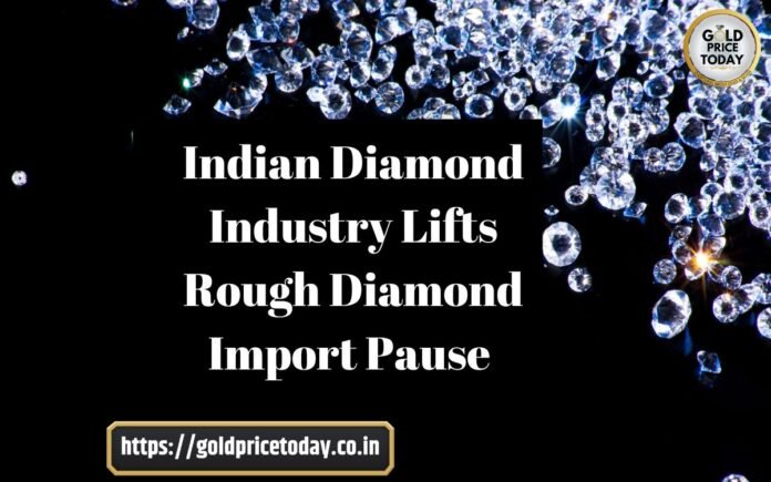 Indian Diamond Industry Lifts Rough Diamond Import Pause